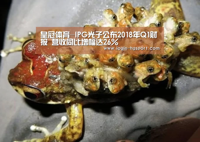 皇冠体育
