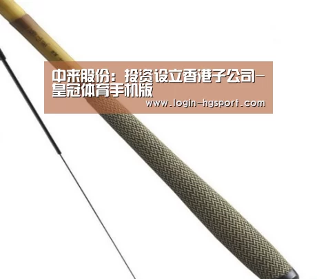 中来股份:投资设立香港子公司-皇冠体育手机版(图2) 皇冠体育下载